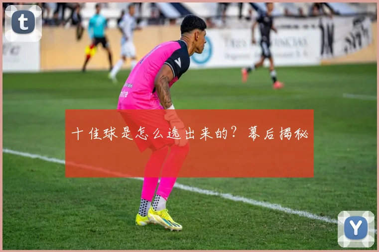 十佳球是怎么选出来的？幕后揭秘